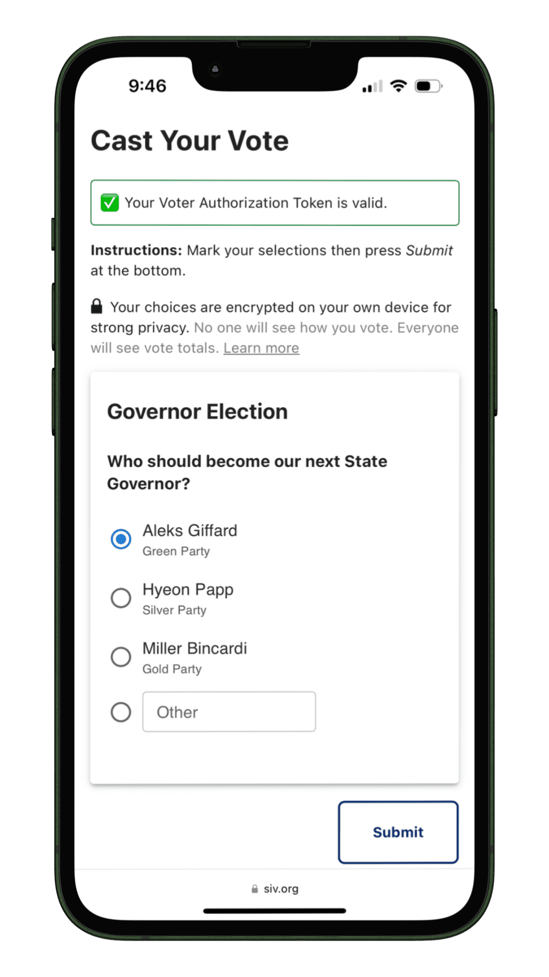Screenshot of the SIV Voter Interface