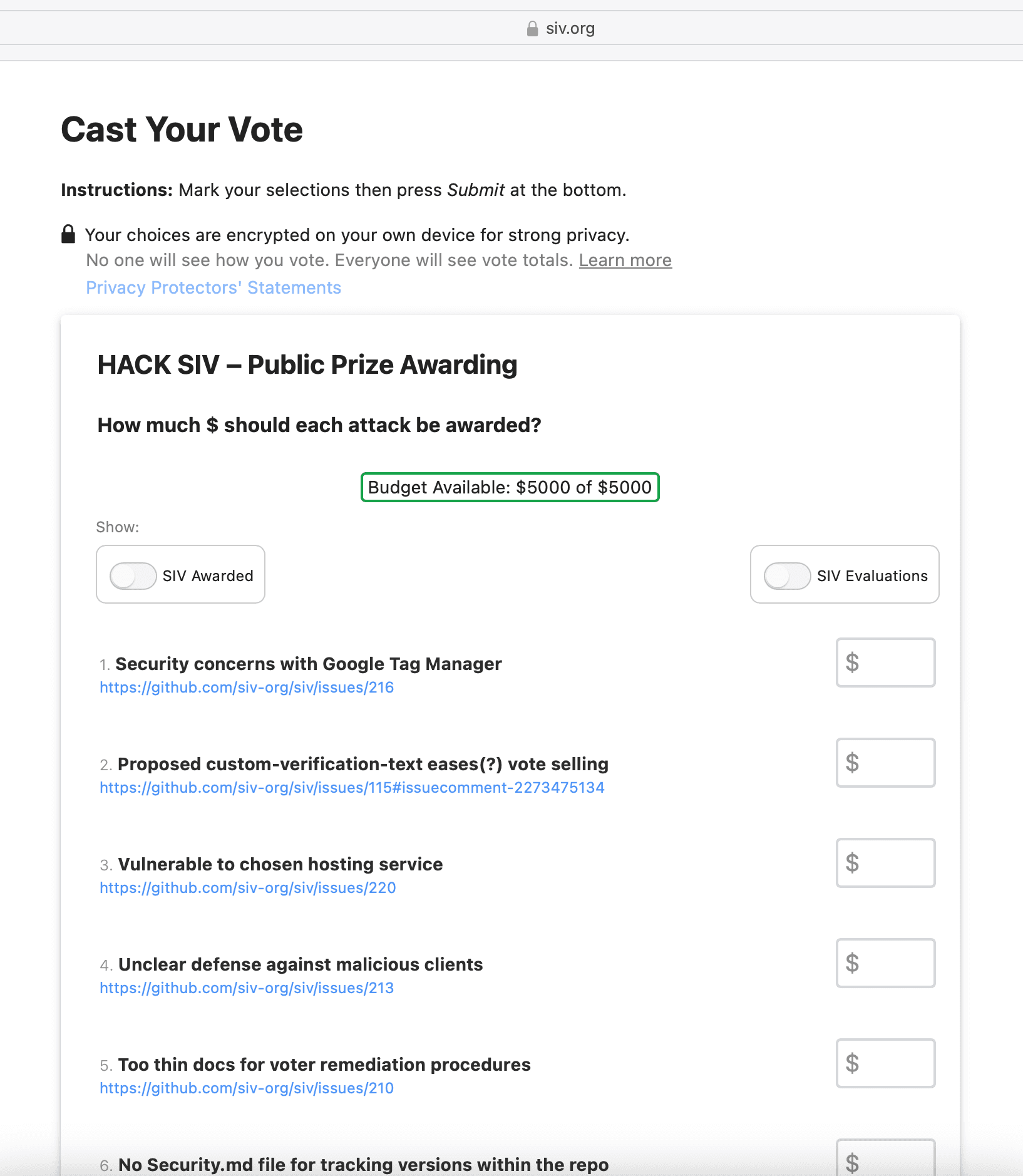 Screenshot of the Election Ballot